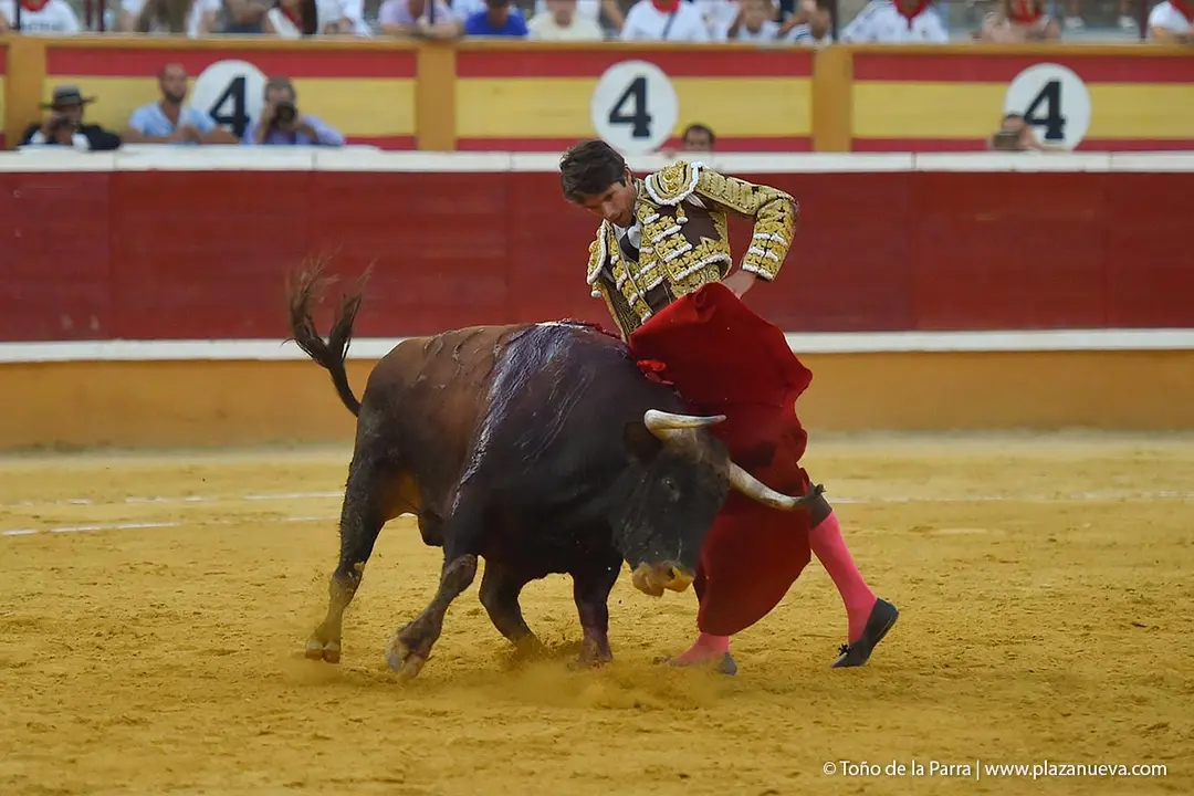240728_CORRIDA (74)