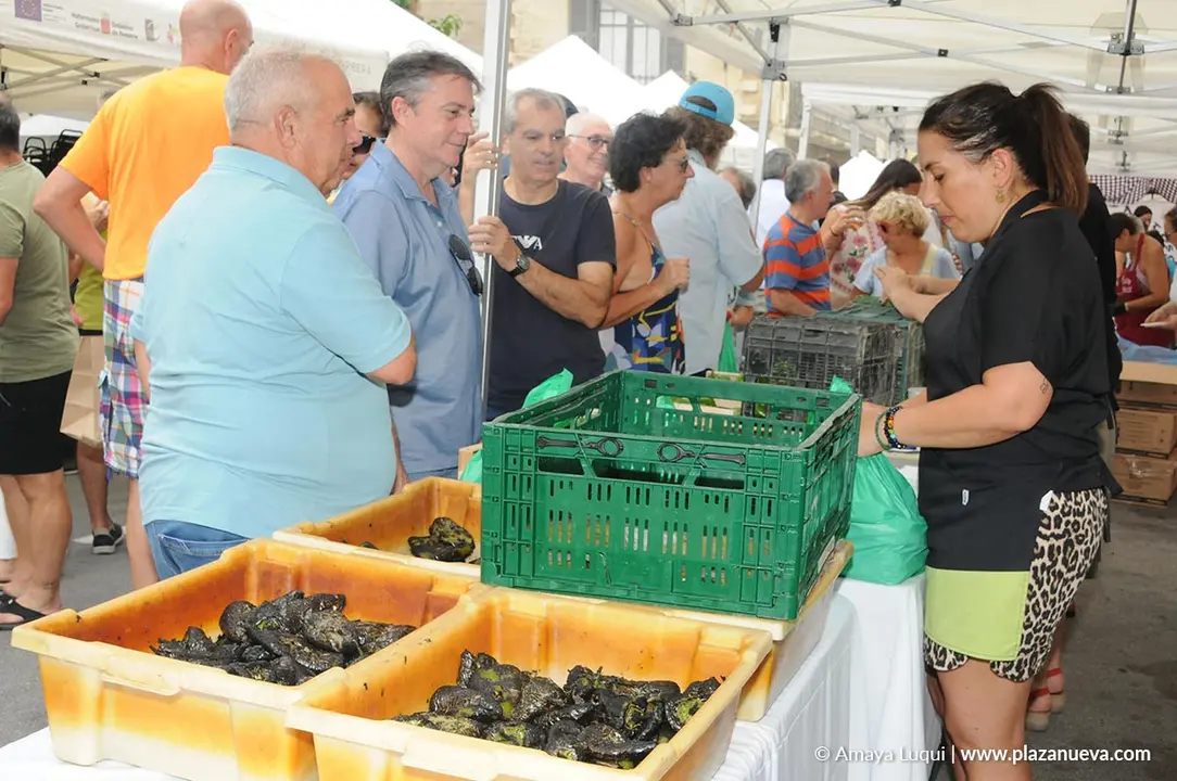 D&iacute;a del Cuc&oacute;n 2024 en Peralta 25