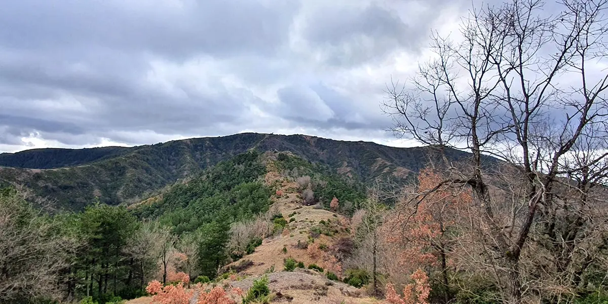 Imagen de la Sierra de Santo Domingo, uno de los espacios medioambientales m&aacute;s destacados de la Comarca de Cinco Villas