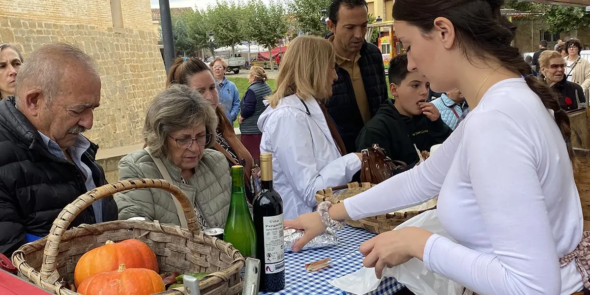 Feria del Caballo Marcilla 1