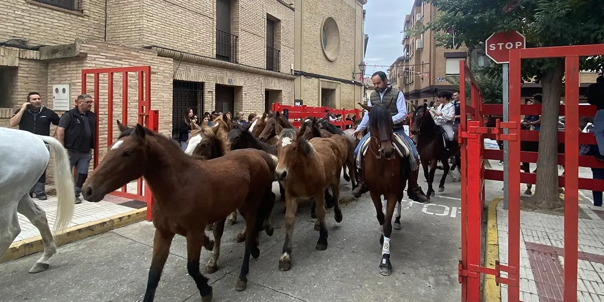 Feria del Caballo Marcilla 2