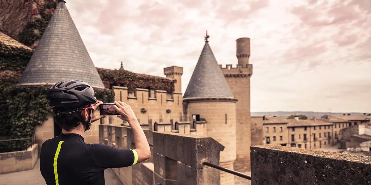 El Castillo de Olite