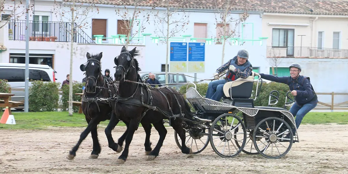 Ferias de Febrero 2024 en Tafalla 4