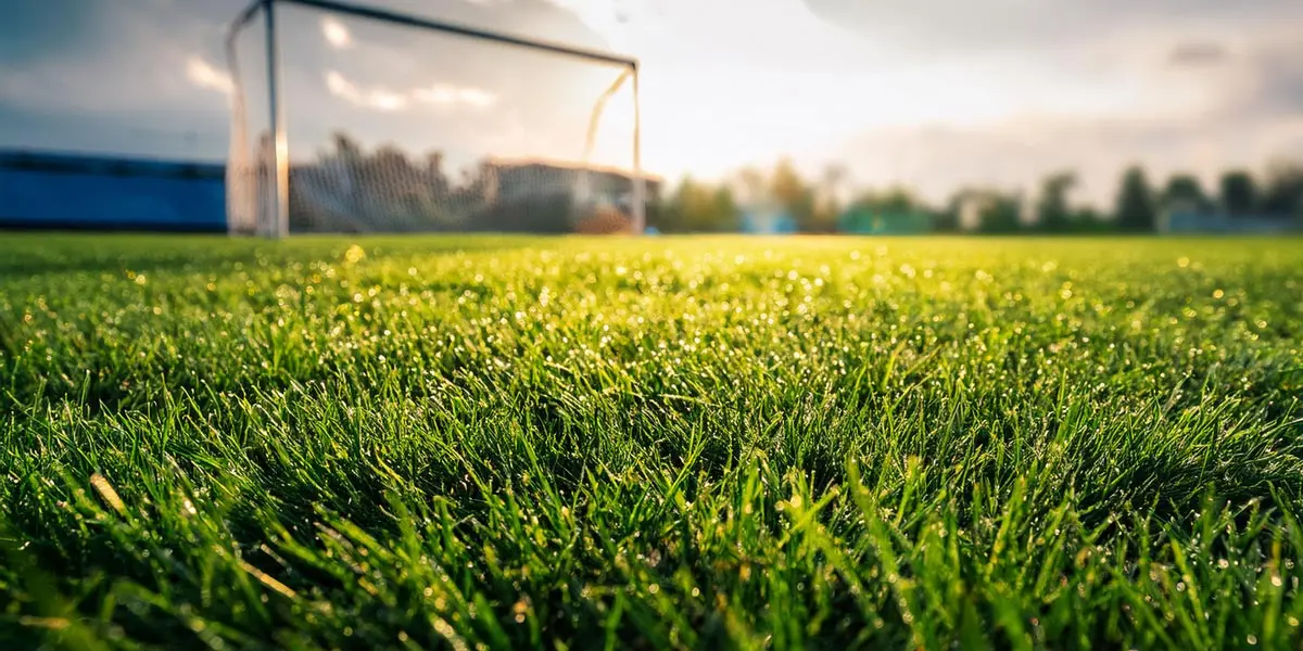 Campo de f&uacute;tbol. FOTO: Archivo