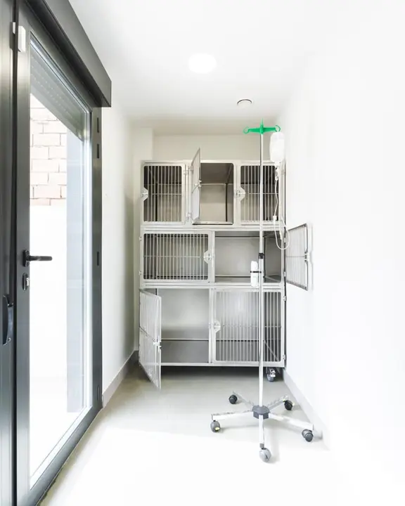 Servicios Veterinarios Chueca 6