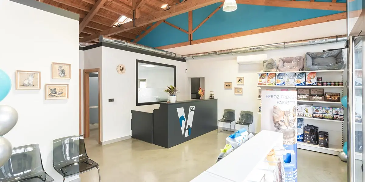 Servicios Veterinarios Chueca 3