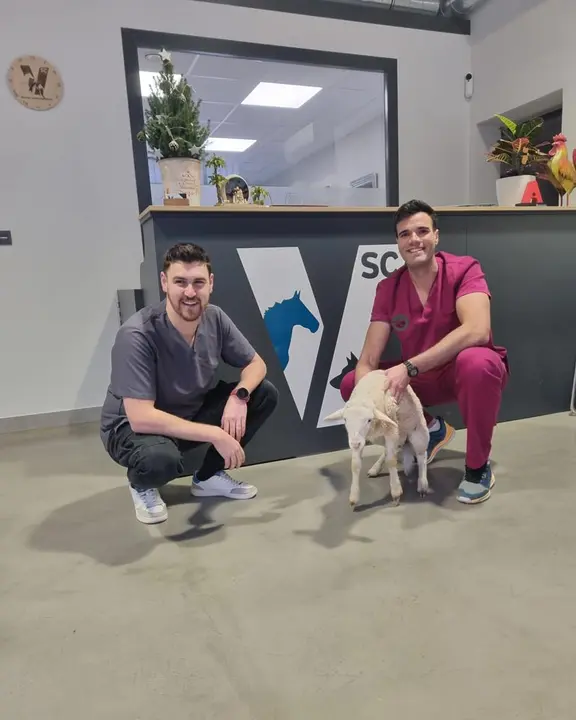 Servicios Veterinarios Chueca 8