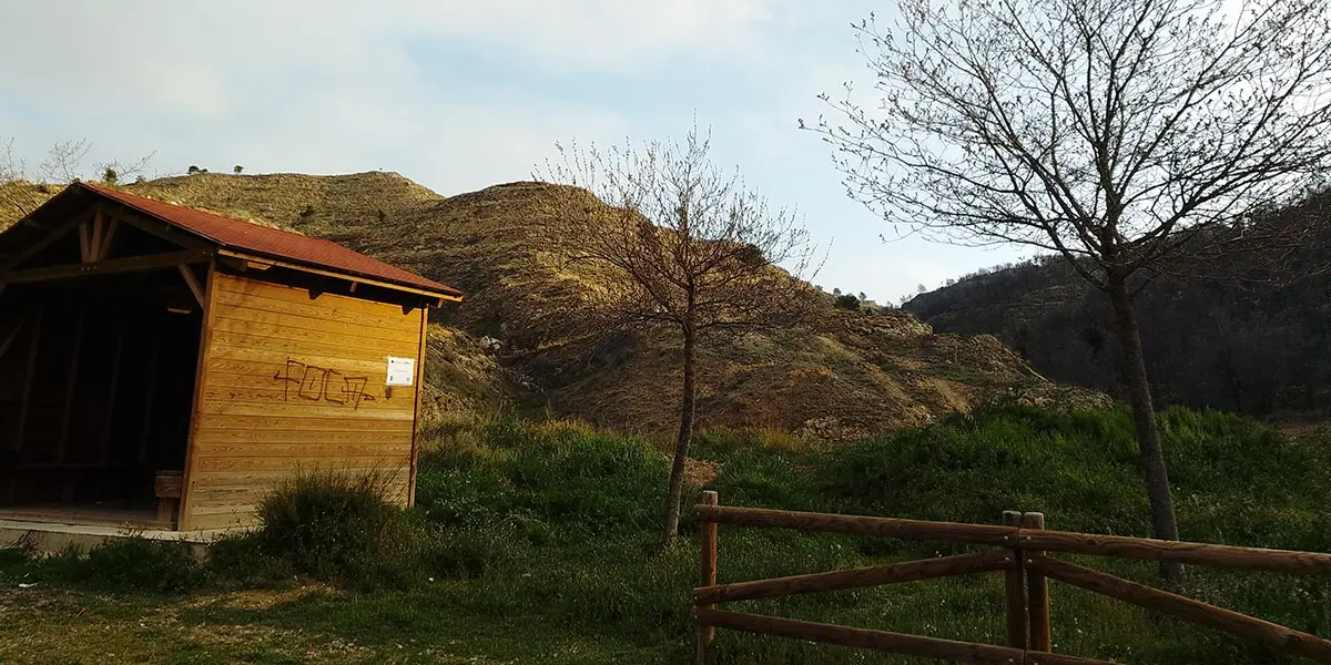 Finalizaci&oacute;n de las actuaciones forestales en Valtierra 2