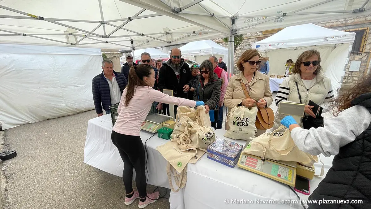 D&iacute;a de la Alcachofa y el Esp&aacute;rrago de Cabanillas 2025 36