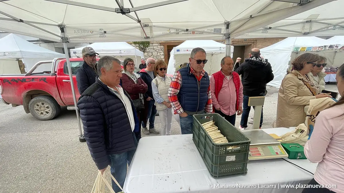 D&iacute;a de la Alcachofa y el Esp&aacute;rrago de Cabanillas 2025 37