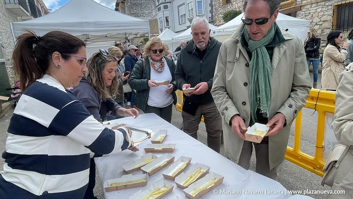 D&iacute;a de la Alcachofa y el Esp&aacute;rrago de Cabanillas 2025 68