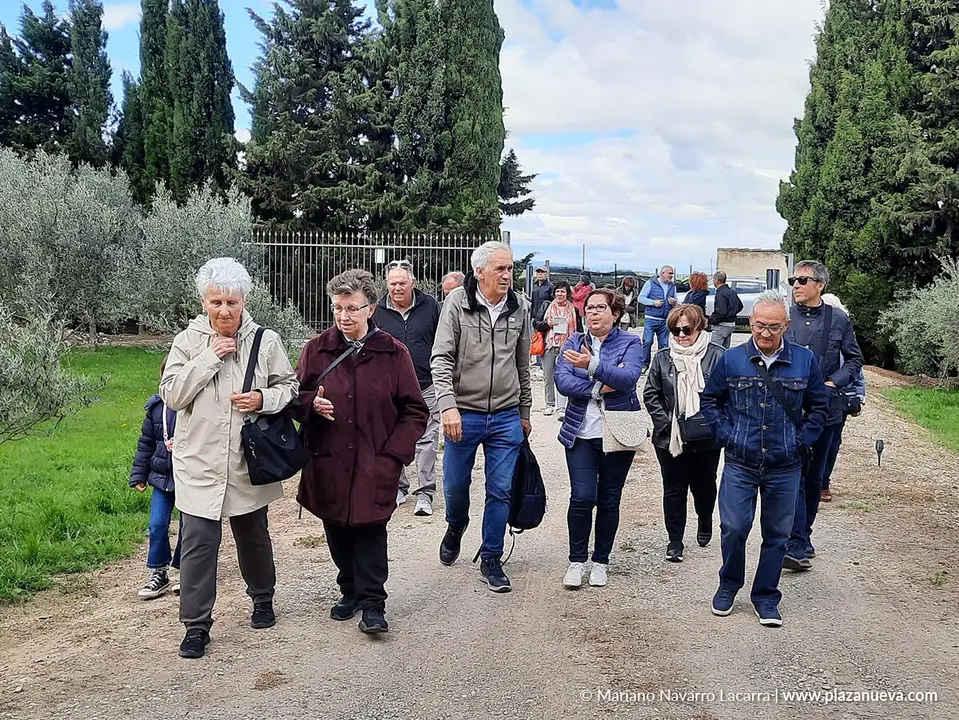 D&iacute;a de la Alcachofa y el Esp&aacute;rrago de Cabanillas 2025 74