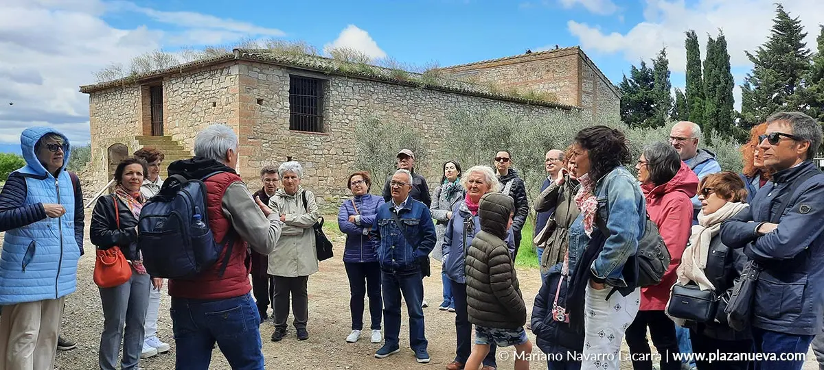 D&iacute;a de la Alcachofa y el Esp&aacute;rrago de Cabanillas 2025 75