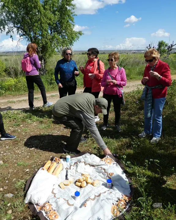 San Gregorio en Murchante 2025 6