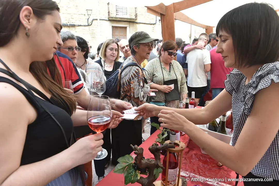 D&iacute;a del Rosado 2025 en San Mart&iacute;n de Unx 18