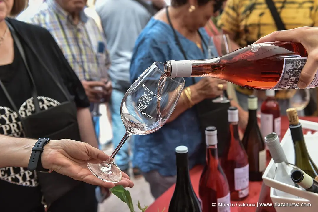 D&iacute;a del Rosado 2025 en San Mart&iacute;n de Unx 19