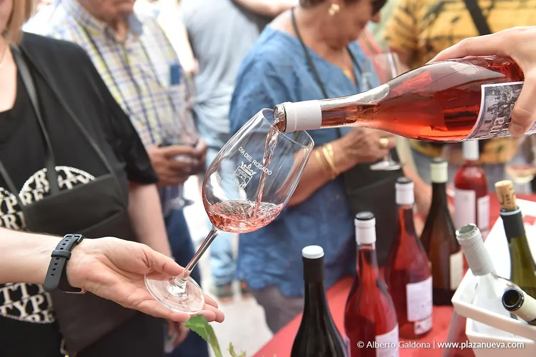 D&iacute;a del Rosado 2025 en San Mart&iacute;n de Unx 20