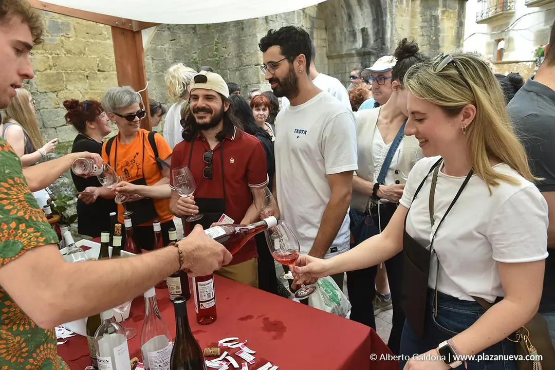 D&iacute;a del Rosado 2025 en San Mart&iacute;n de Unx 22