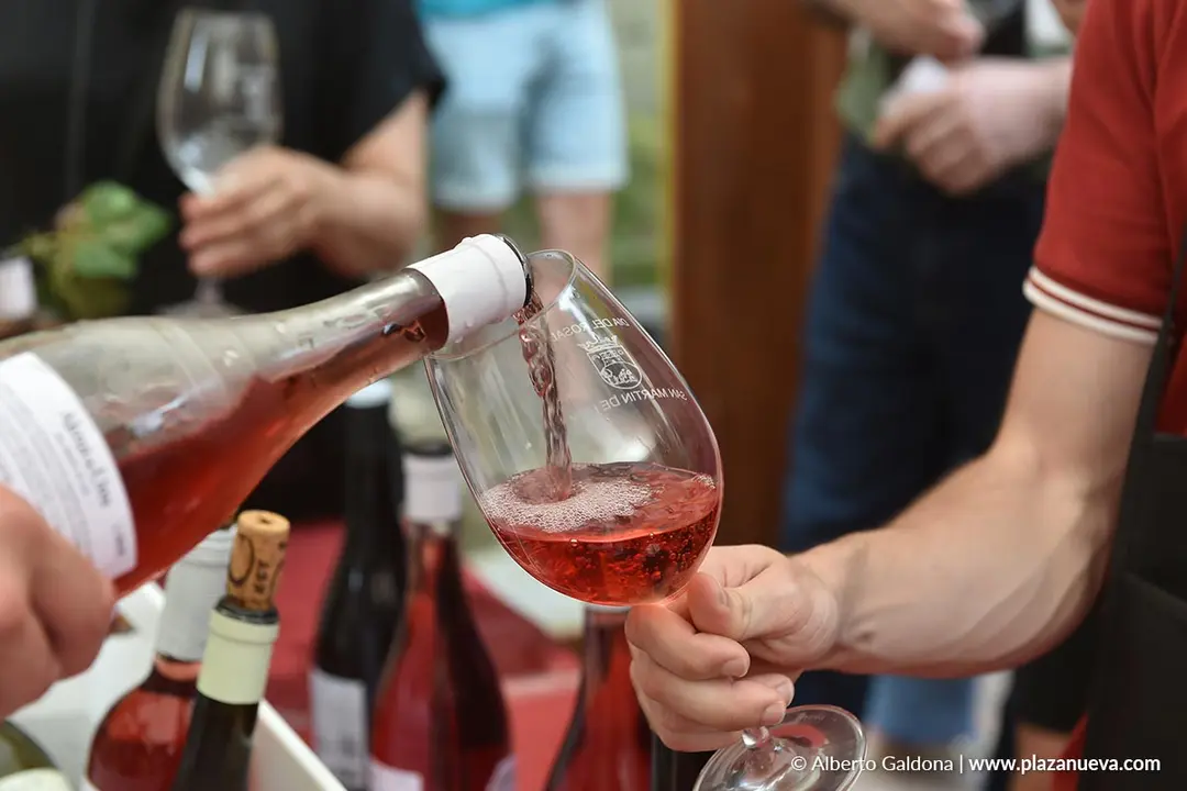 D&iacute;a del Rosado 2025 en San Mart&iacute;n de Unx 23