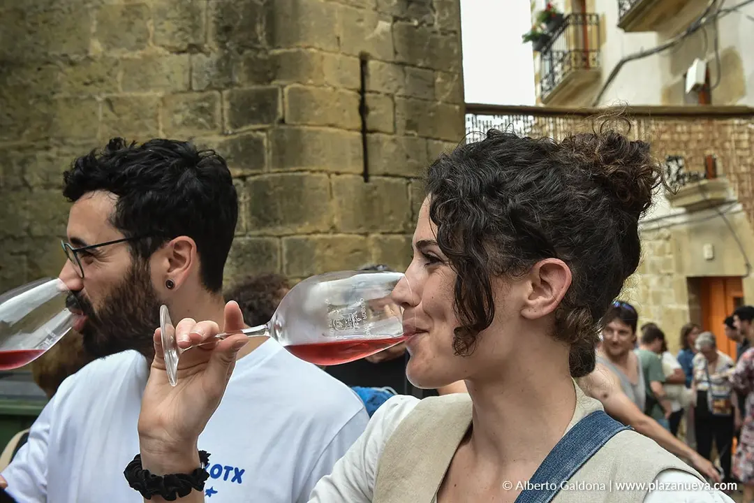 D&iacute;a del Rosado 2025 en San Mart&iacute;n de Unx 25