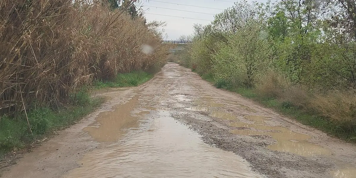 Caminos 
