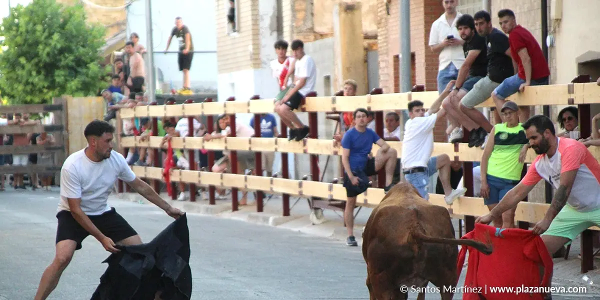 Fiestas de la juventud Murchante 2025 5