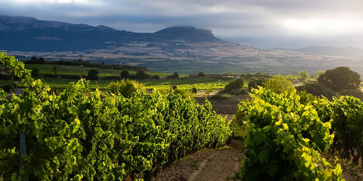 DOCa Rioja Laguardia