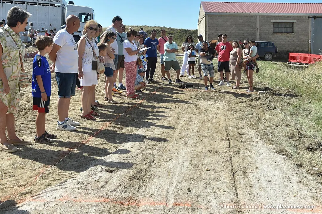 II D&iacute;a de la Guindilla en Murillo El Fruto 2025 1