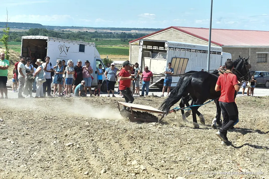 II D&iacute;a de la Guindilla en Murillo El Fruto 2025 16