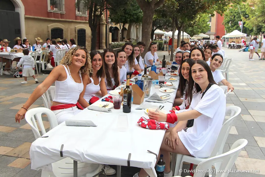 Fiestas de Santa Ana en Tudela 2025 5