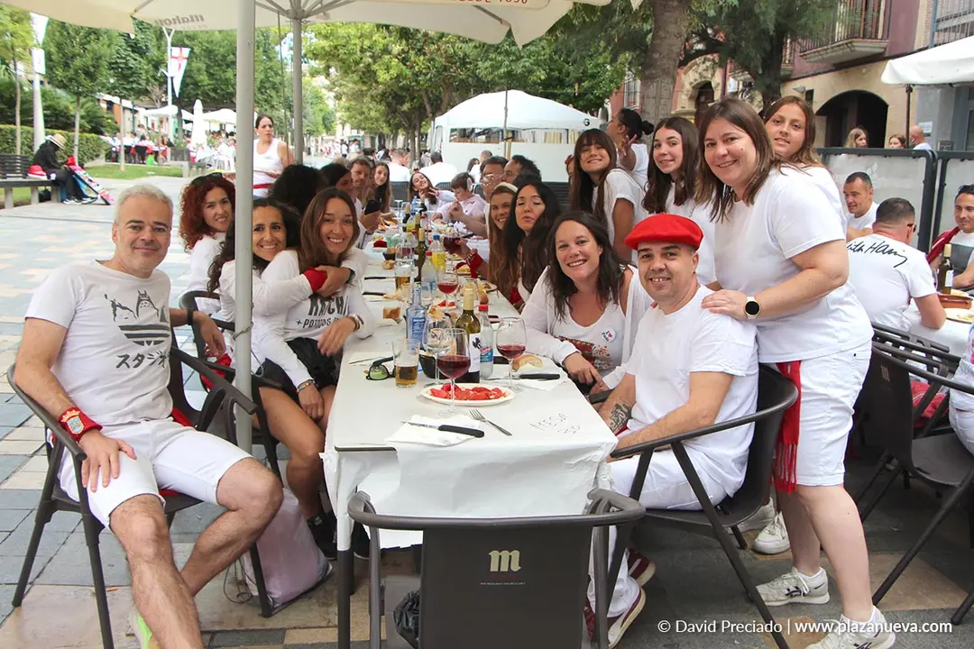 Fiestas de Santa Ana en Tudela 2025 8