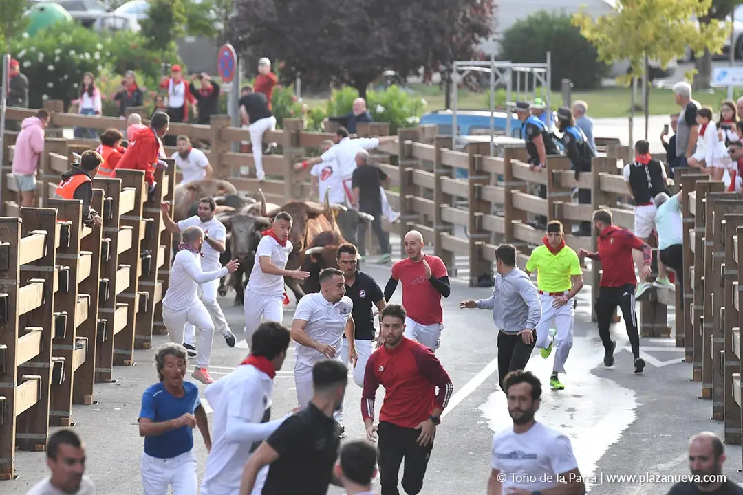 Encierro de Tudela d&iacute;a 25 2025 10