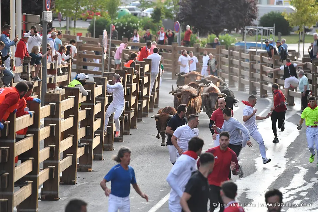 Encierro de Tudela d&iacute;a 25 2025 11