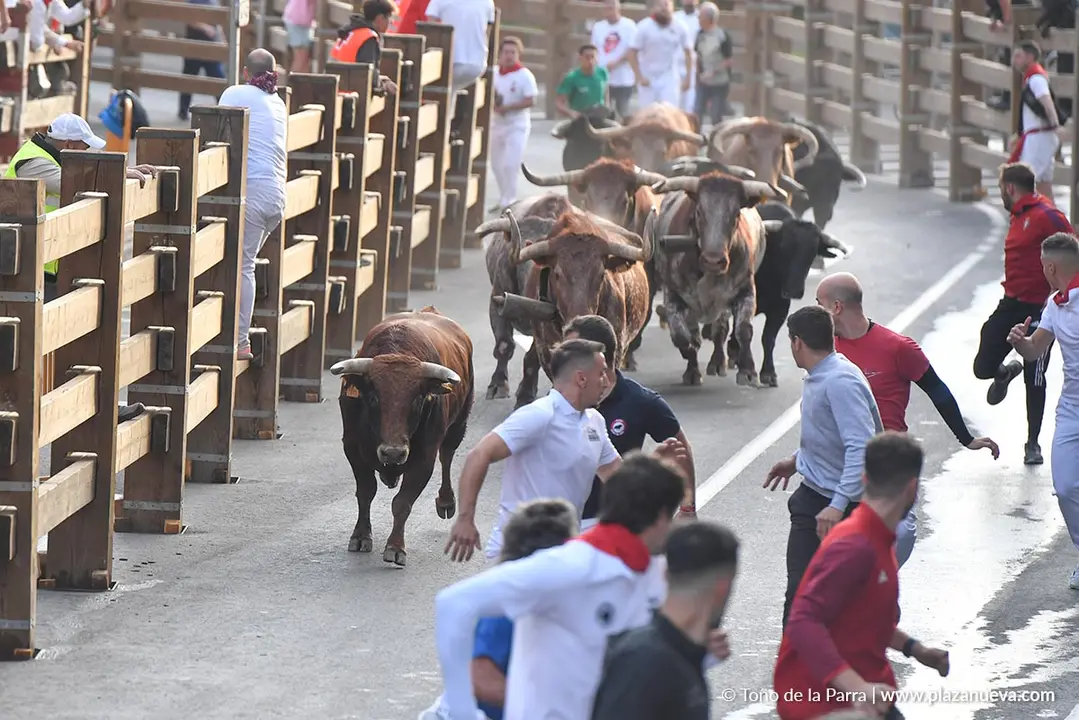 Encierro de Tudela d&iacute;a 25 2025 12