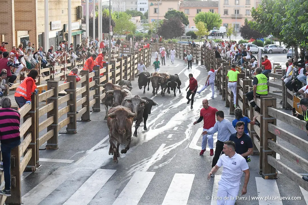 Encierro de Tudela d&iacute;a 25 2025 14