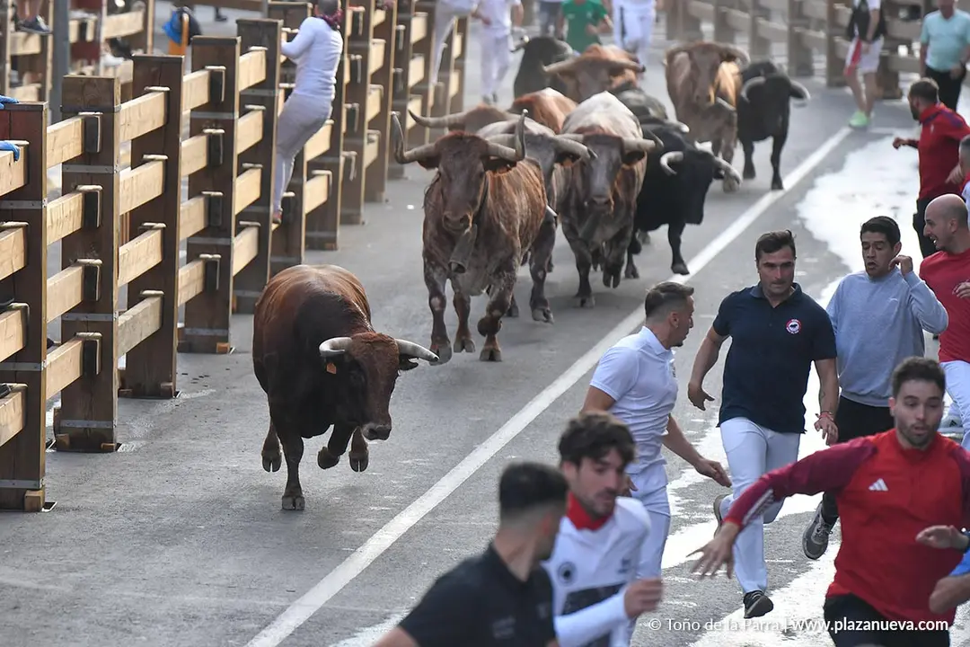 Encierro de Tudela d&iacute;a 25 2025 13