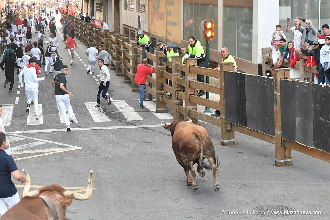 Encierro de Tudela d&iacute;a 25 2025 15