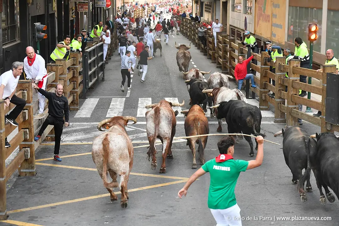 Encierro de Tudela d&iacute;a 25 2025 17