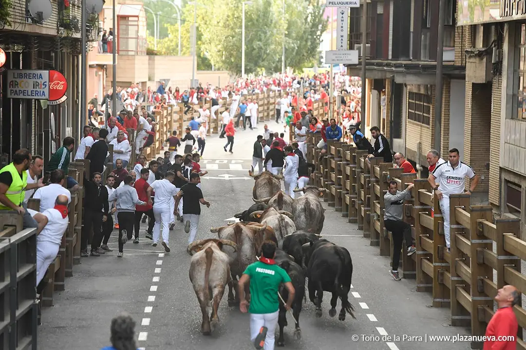 Encierro de Tudela d&iacute;a 25 2025 18