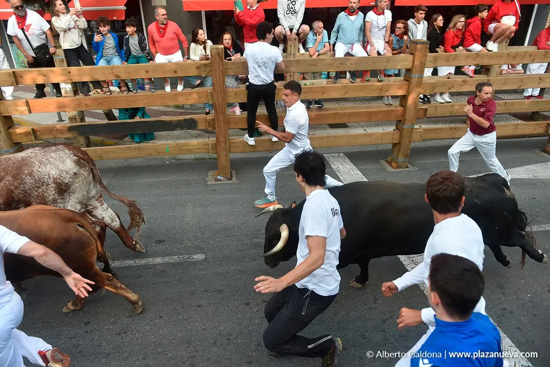 Encierro de Tudela d&iacute;a 25 2025 22