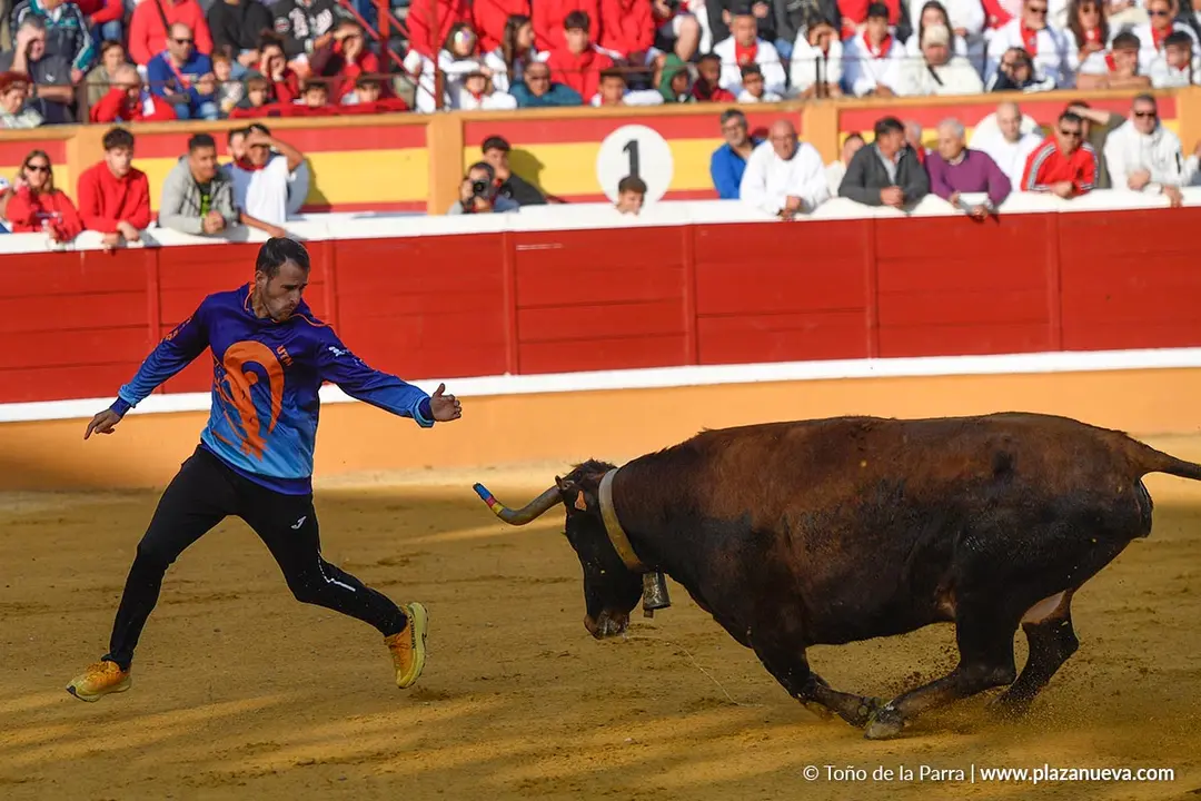 Suelta de vaquillas en Tudela d&iacute;a 25 2025 1