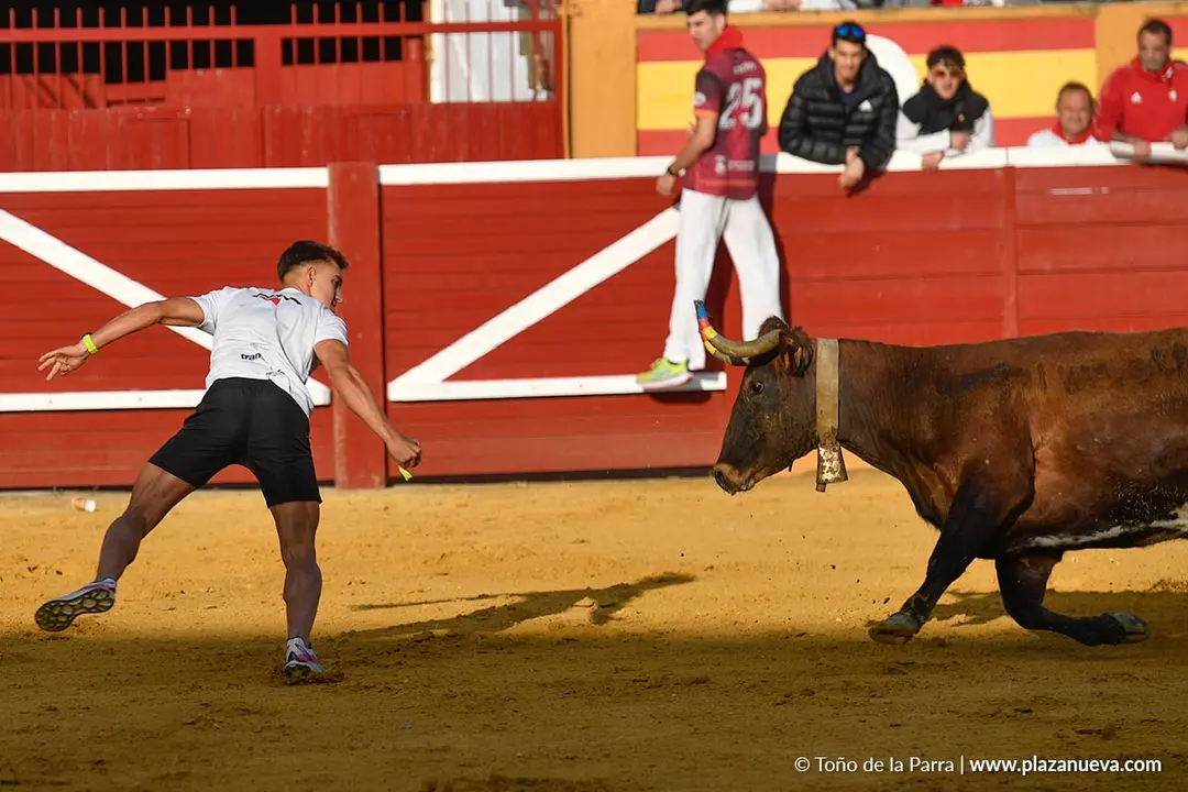 Suelta de vaquillas en Tudela d&iacute;a 25 2025 3