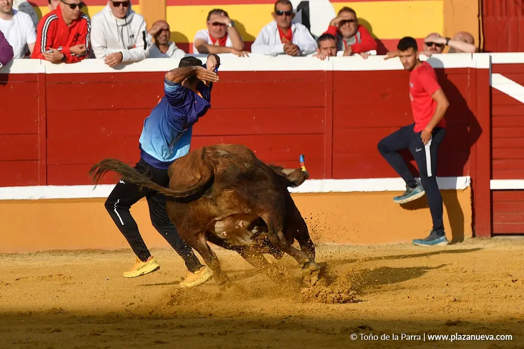 Suelta de vaquillas en Tudela d&iacute;a 25 2025 4