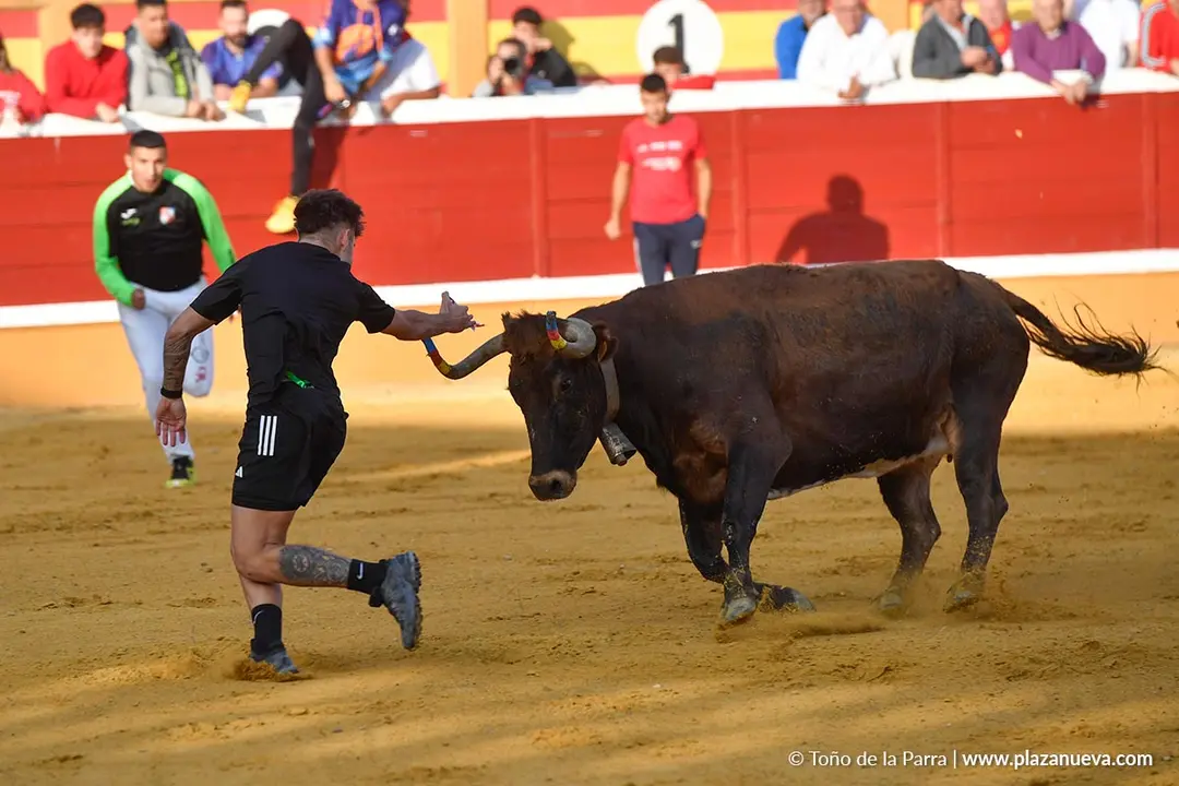 Suelta de vaquillas en Tudela d&iacute;a 25 2025 5