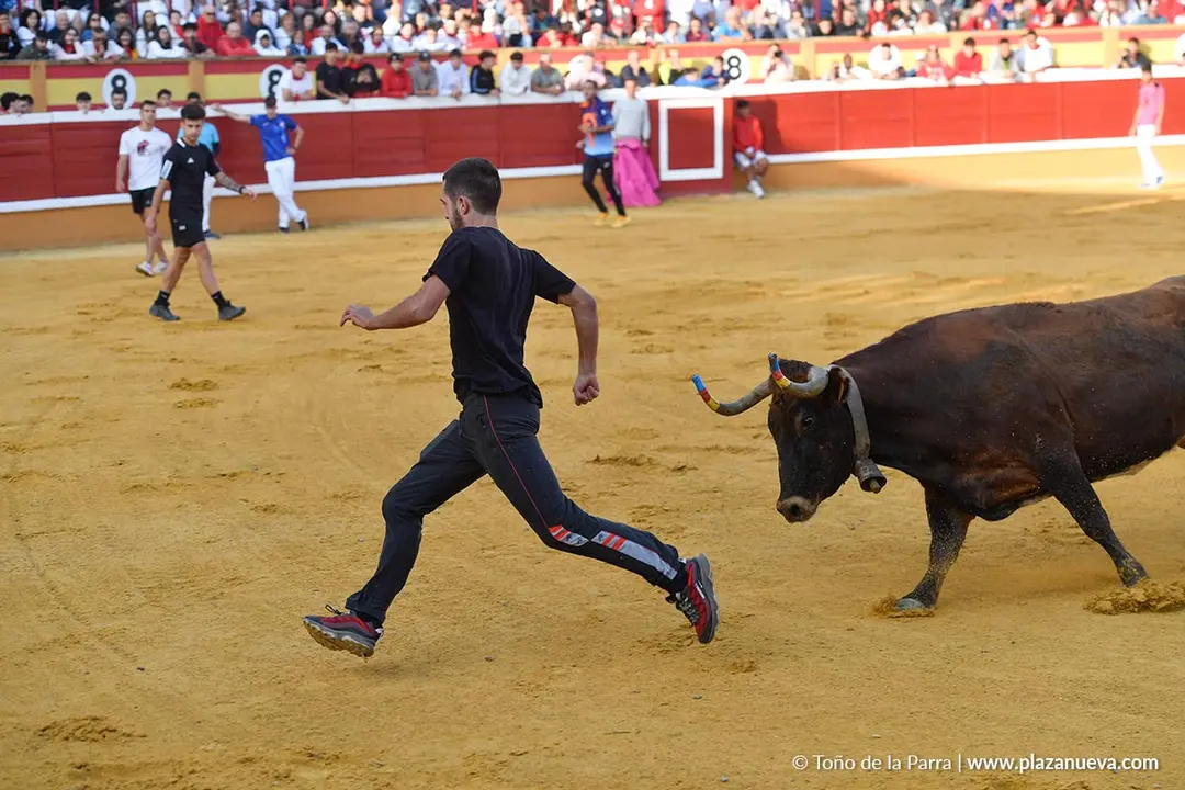 Suelta de vaquillas en Tudela d&iacute;a 25 2025 6