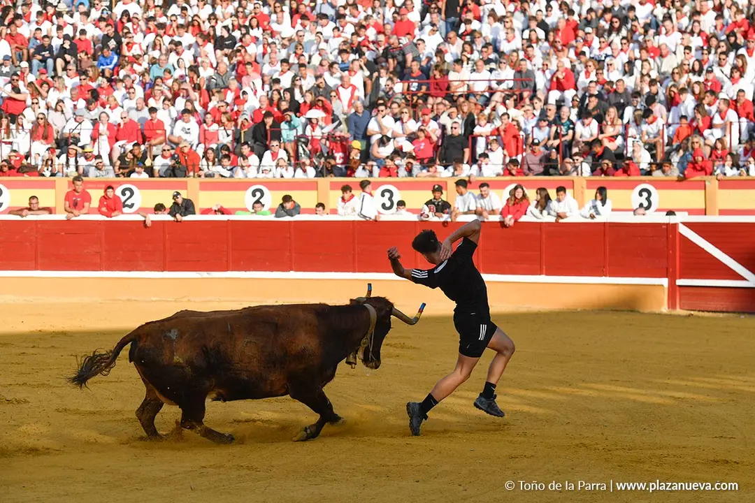 Suelta de vaquillas en Tudela d&iacute;a 25 2025 7