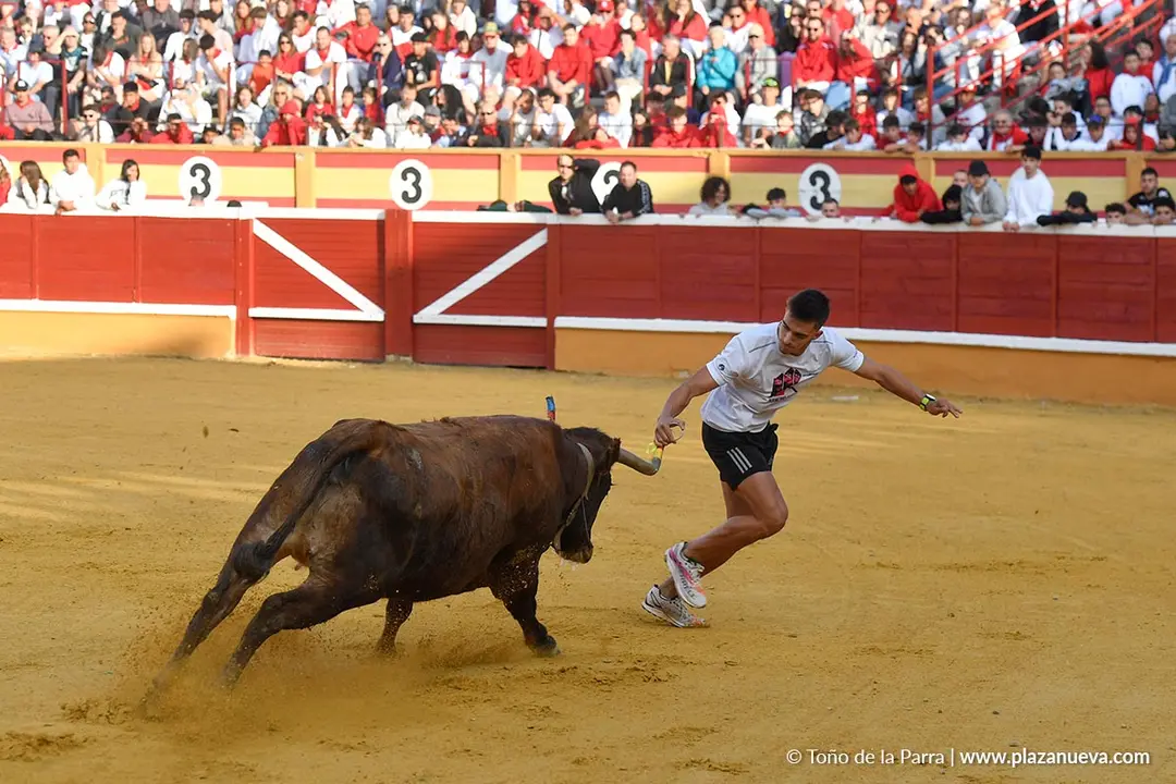 Suelta de vaquillas en Tudela d&iacute;a 25 2025 8