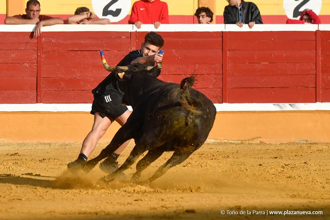 Suelta de vaquillas en Tudela d&iacute;a 25 2025 10