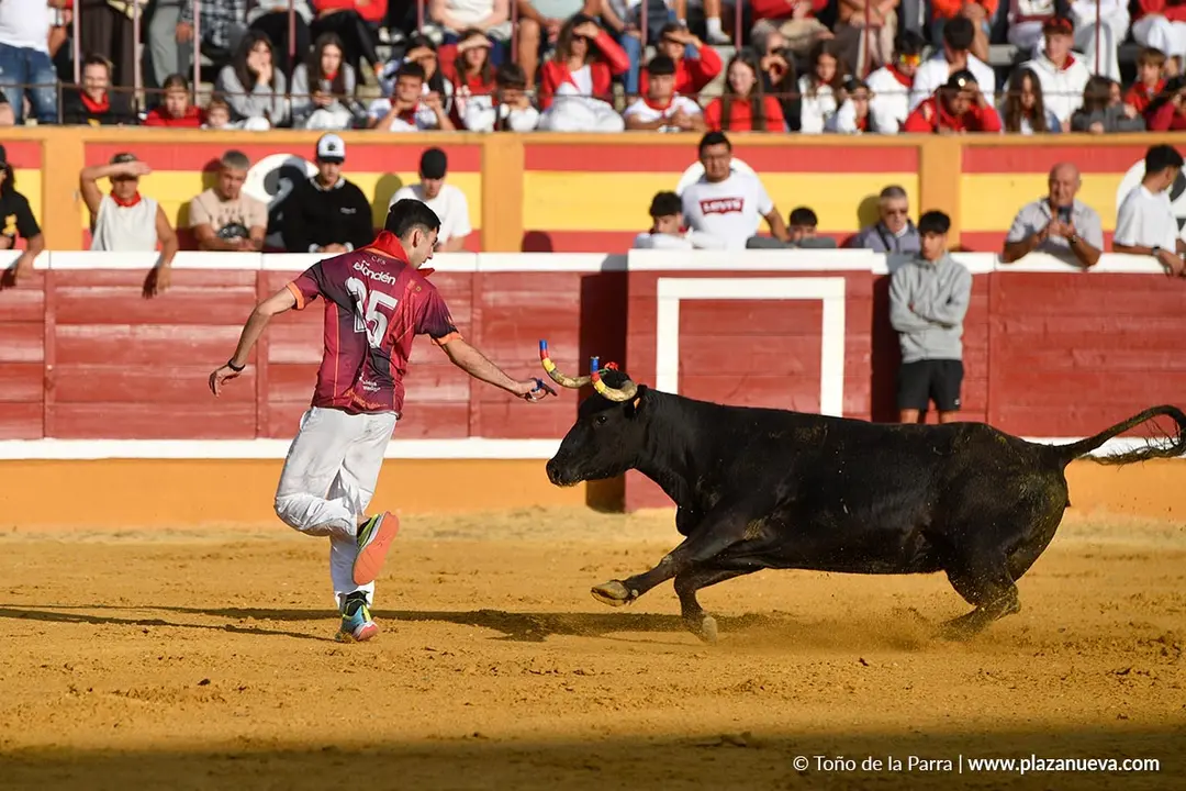 Suelta de vaquillas en Tudela d&iacute;a 25 2025 11