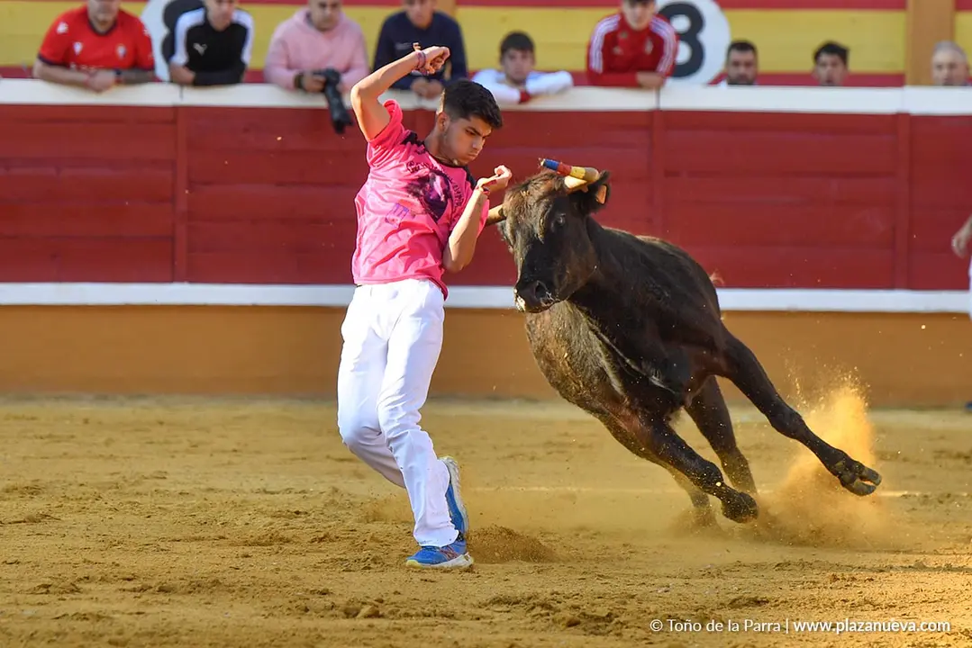 Suelta de vaquillas en Tudela d&iacute;a 25 2025 15